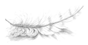 feather_drawing_edited-1