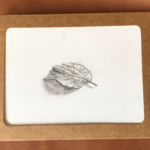 Woodland Walk Notecards