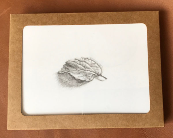 Woodland Walk Notecards